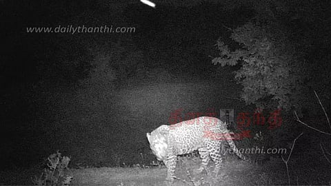 தேன்கனிக்கோட்டை அருகே தண்டரை ஊராட்சியில்சிறுத்தை நடமாட்டத்தால் பொதுமக்கள் அச்சம்இரவில் வெளியே வர வேண்டாம் என வேண்டுகோள்