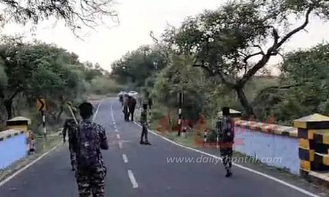 வன ஊழியர்களை காட்டு யானை துரத்தியதால் பரபரப்பு