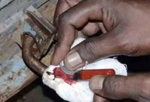 புகையிலை பொருட்கள் விற்ற 2 கடைகளுக்கு 'சீல்'