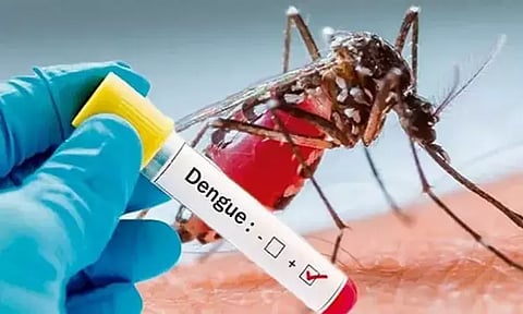 டெங்கு பரிசோதனை முடிவுகளை 6 மணி நேரத்தில் அளிக்க வேண்டும் - பொதுசுகாதாரத்துறை அறிவுறுத்தல்