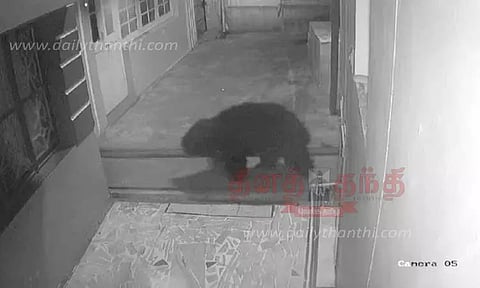 சாலையில் நடந்து சென்றவரை கரடி துரத்தியதால் பரபரப்பு