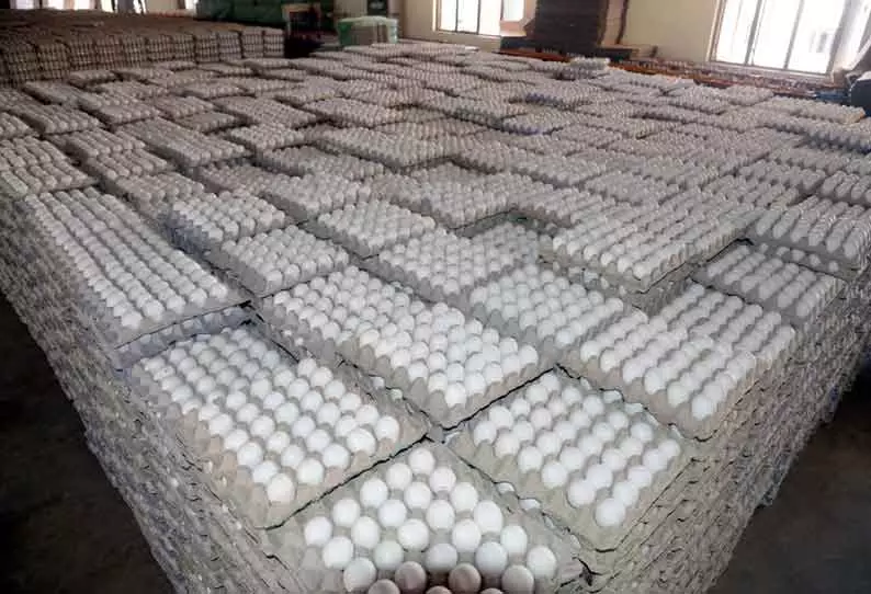 முட்டை விலை 5 காசுகள் உயர்வு