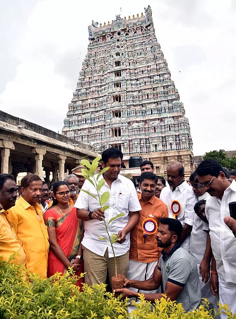 100 செண்பக மரக்கன்றுகள் நடும் பணி