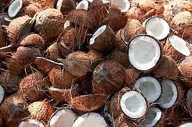 அவல்பூந்துறை ஒழுங்குமுறை கூடத்தில் ரூ.1½ லட்சத்துக்கு தேங்காய் ஏலம்