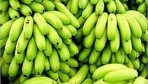 கோபி கூட்டுறவு சங்கத்தில் ரூ.10½ லட்சத்துக்கு வாழைத்தார்கள் ஏலம்