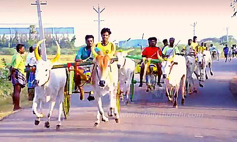 மேலூர் அருகே மாட்டு வண்டி பந்தயம்