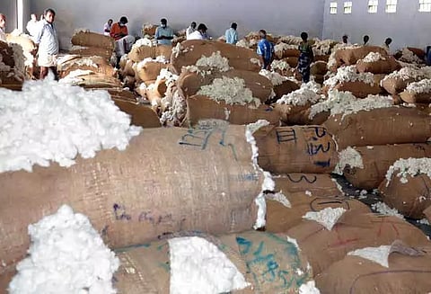 ரூ.34½ லட்சத்துக்கு பருத்தி ஏலம்