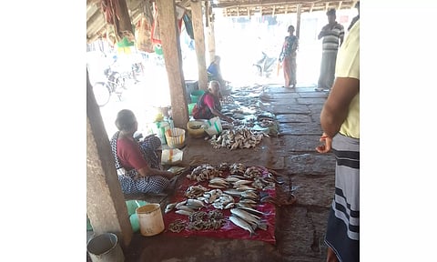 மார்க்கெட்டுகளில் மீன்கள் விலை சரிவு