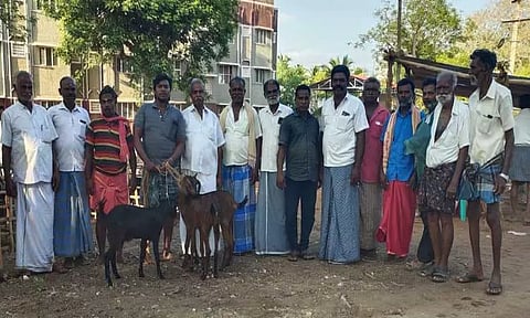 தட்டார்மடத்தில் 20ஆண்டுகளுக்கு பிறகு மீண்டும் வாரச்சந்தை செயல்பட்டது