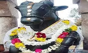 நங்கைமொழி காளத்தீஸ்வரர் கோவிலில் பிரதோஷ விழா