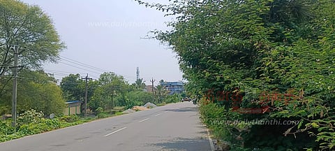 நெடுஞ்சாலையோரத்தில் வளர்ந்துள்ள முள்செடிகளால் வாகன ஓட்டிகள் அவதி