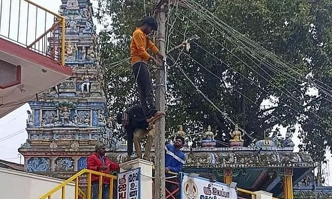 கொடைக்கானலில் ரூ.2¼ கோடியில் எல்.இ.டி. மின்விளக்குகள் அமைக்கும் பணி