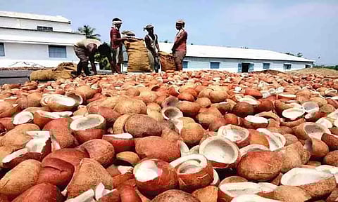 தேங்காய்க்கு நிரந்தர விலை நிர்ணயம் செய்ய வேண்டும்விவசாயிகள் கோரிக்கை