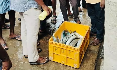 மீன் மார்க்கெட்டில் அதிகாரிகள் அதிரடி சோதனை