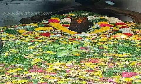 திருநாகேஸ்வரமுடையார் கோவில் திருவிழா