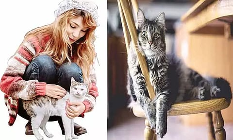 பூனையும், இனி மனித மொழி பேசும்...!