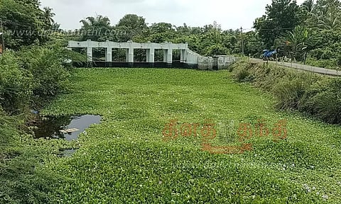 முடிக்கொண்டான் ஆற்றை ஆக்கிரமித்துள்ள ஆகாயத்தாமரைகளை அகற்ற வேண்டும்