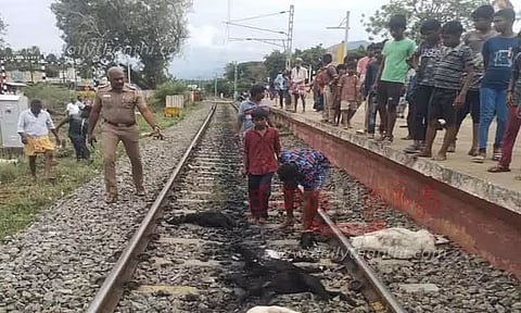 ரெயிலில் அடிபட்டு 12 ஆடுகள் சாவு