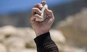 தானேயில் தேவி சிலை ஊர்வலத்தில் தகராறு; கல்வீச்சில் ஒருவர் காயம்