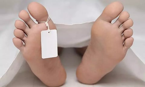 சரக்கு வேன் கவிழ்ந்து விபத்து; பெண் சாவு