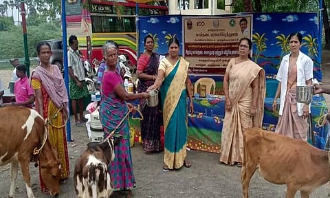 காளாம்பட்டியில்சிறப்பு கால்நடை சுகாதார விழிப்புணர்வு முகாம்