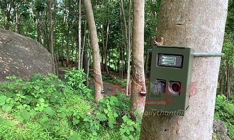 தக்கலை அருகே மேய்ச்சலுக்கு விடப்படும் ஆடுகளை மர்மவிலங்கு வேட்டையாடுகிறதா?