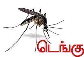 6 பேருக்கு டெங்கு காய்ச்சல்