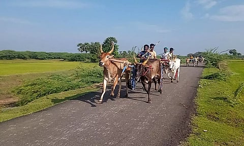 மாட்டு வண்டி எல்கை பந்தயம்