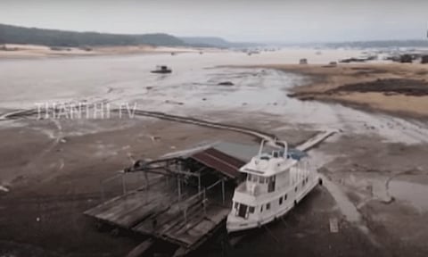 பிரேசிலில் வறட்சியால் இறந்த நூற்றுக்கணக்கான டால்பின்கள்.!