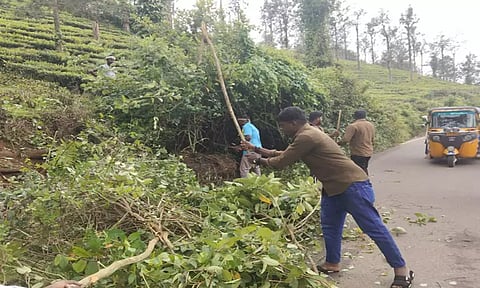 சாலையோர முட்புதர்களை அகற்றிய டிரைவாகள்
