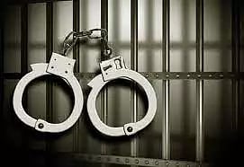 தானே மாவட்டத்தில் கடந்த 10 மாதங்களில் போதைப்பொருள் வழக்கில் 771 பேர் கைது