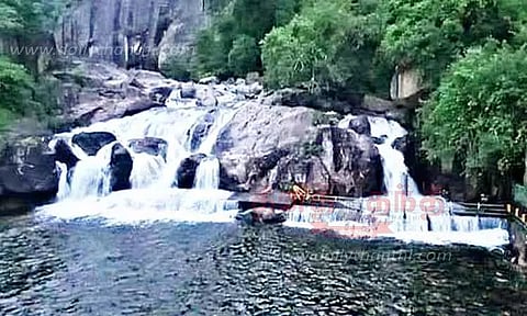 மணிமுத்தாறு அருவியில் வெள்ளப்பெருக்கு