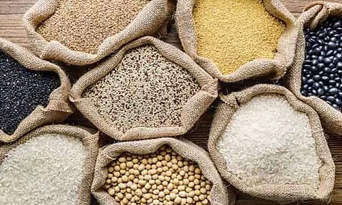 பருவமழையை பயன்படுத்தி சாகுபடி: தரமான சிறுதானிய விதைகளை பெறலாம்