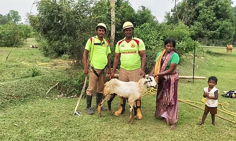 கிணற்றில் விழுந்த ஆடு உயிருடன் மீட்பு