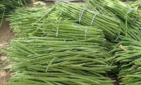 கும்பகோணத்தில், முருங்கைக்காய் விலை உயர்வு