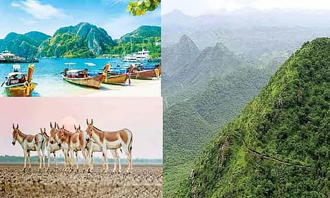 இந்தியா பற்றிய குட்டி தகவல்கள்..!