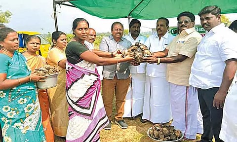 தேவரியம்பாக்கம் ஊராட்சியில் பனை விதைகள் நடும் பணி