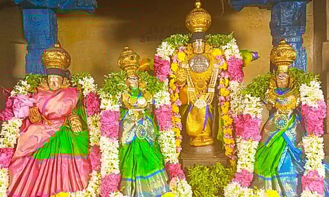 அரங்கநாதர் சிறப்பு அலங்காரத்தில் காட்சி