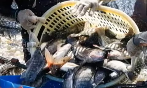 கோப்புப்படம்