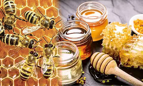 புற்றுநோய் கிருமிகளை கட்டுப்படுத்தும் தேன்