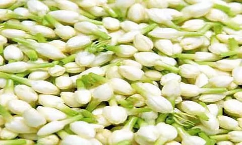 உடன்குடியில் பூக்கள் விலை உயர்வு