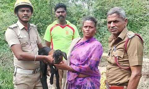 கிணற்றில் தவறி விழுந்த ஆடு உயிருடன் மீட்பு