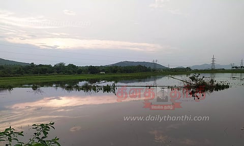 சோழவந்தான் அருகே வயலில் குளம் போல் தேங்கிய மழைநீர் - விவசாயிகள் அவதி
