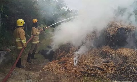 வைக்கோல் போர் திடீரென தீப்பற்றி எரிந்தது