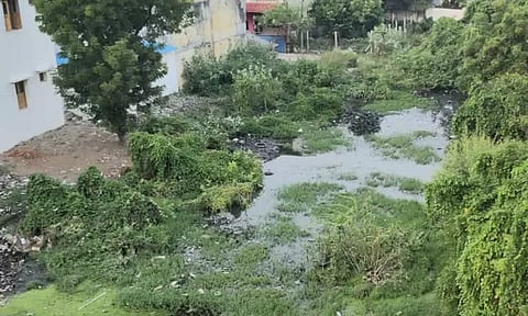 திருக்கோவிலூர் என்.ஜி.ஜி.ஓ. நகரில் தேங்கி நிற்கும் கழிவுநீரை அகற்ற வேண்டும்; நகராட்சி ஆணையாளரிடம் பா.ஜ.க. கோரிக்கை