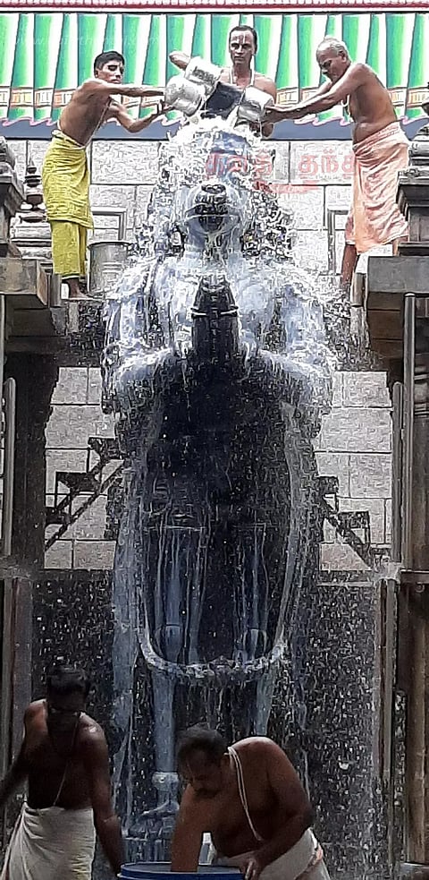 ஆஞ்சநேயர் கோவிலில் சிறப்பு அபிஷேகம்