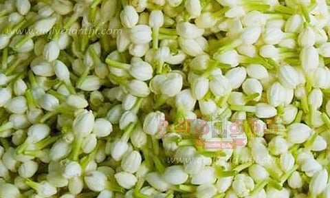 பூக்கள் விலை உயர்வு