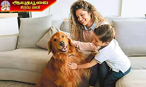 பாதுகாப்பான நாய் வளர்ப்பு முறைகள்