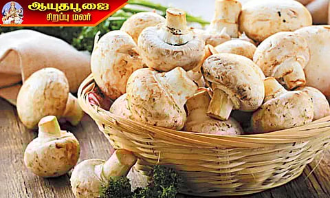 காளான் வளர்ப்பில் அதிக லாபம்