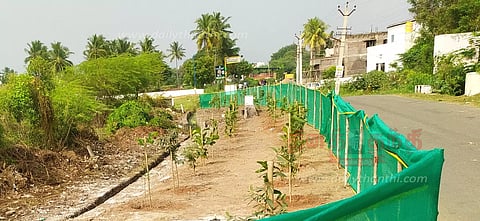 நாமக்கல் அருகே சாலையோரம் மரக்கன்றுகளுக்கு பாதுகாப்பு வேலி